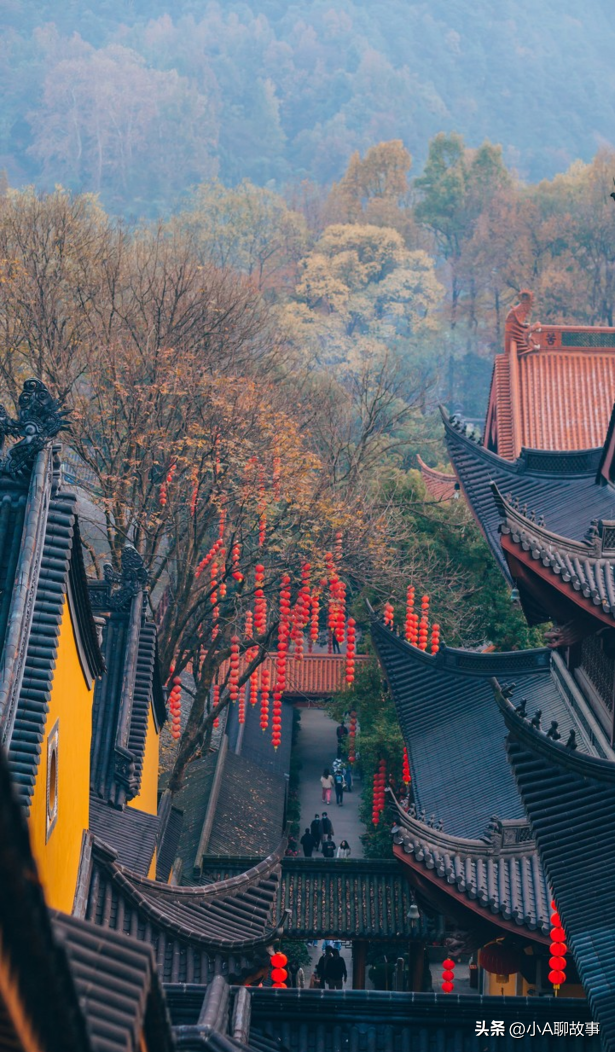 又一5A景区官宣永久免费！年入数亿，关键是秋天美到词穷！