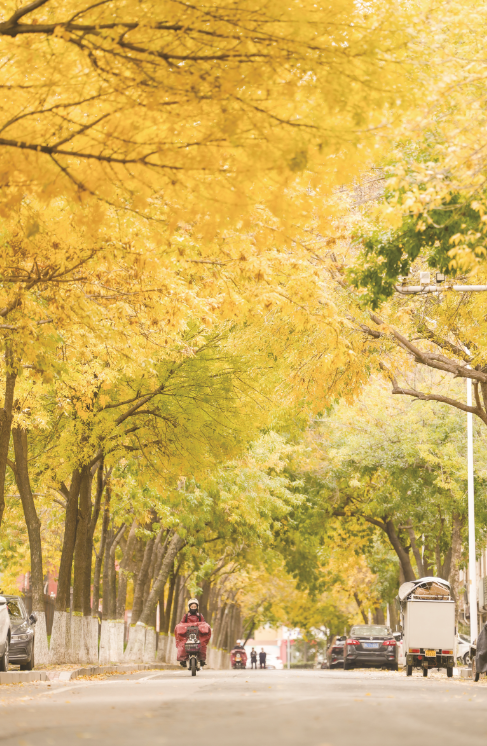 日照秋韵 一笺诗意入画来