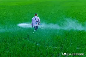 叶面肥+农药混用禁忌大全！配错顺序=毁药毁肥？图片