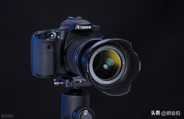 选这两款镜头别纠结了！24-70mm f 2.8 vs 24-105mm f4，看这篇秒懂！