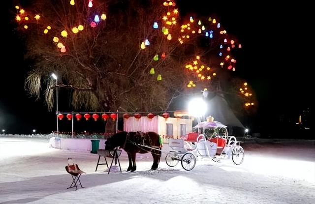 佳木斯冰雪大世界焕新上线，想玩速来！