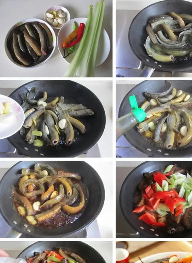 花胶和海参哪个更补肾 花胶和海参哪个更补肾效果好