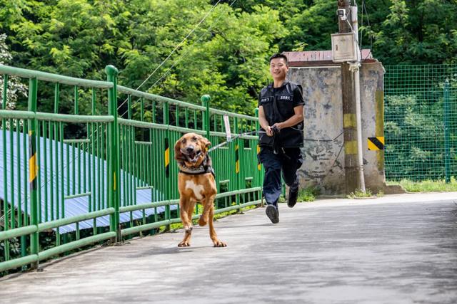 哈瑞，闻着味儿就来了！