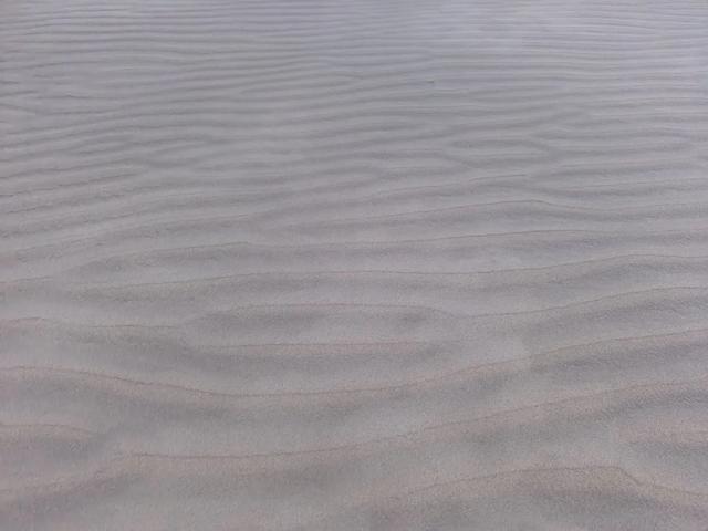 腾格里沙漠的清晨