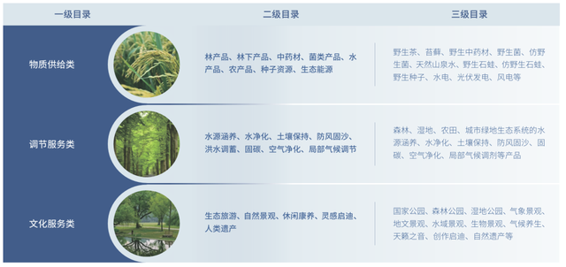 浙江丽水生态产品总值核算创新实践及其应用探索