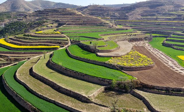 【视觉临汾】山西襄汾：山乡春色 秀美梯田