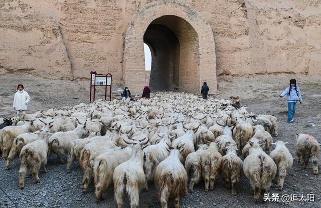 初冬，古城迎来西行客