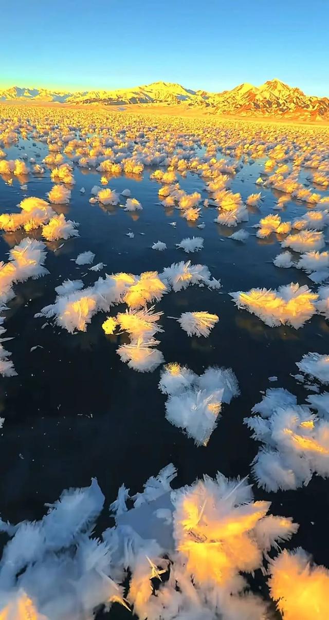 新疆赛里木湖限定版“冰花”开了，网友称像“海底星空”，景区工作人员：每年湖面结冰都有