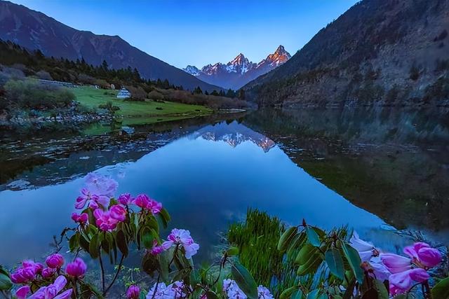 甘孜四月天，一半是冰雪，一半是花海