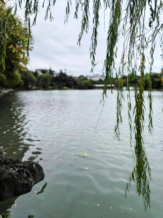 桂林：最是初冬晴午后！