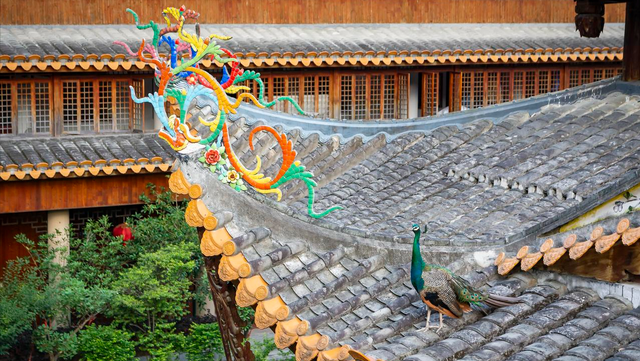 鼓山深处小众静谧寺庙，名气虽没涌泉寺大，但也是座绝美的观景台