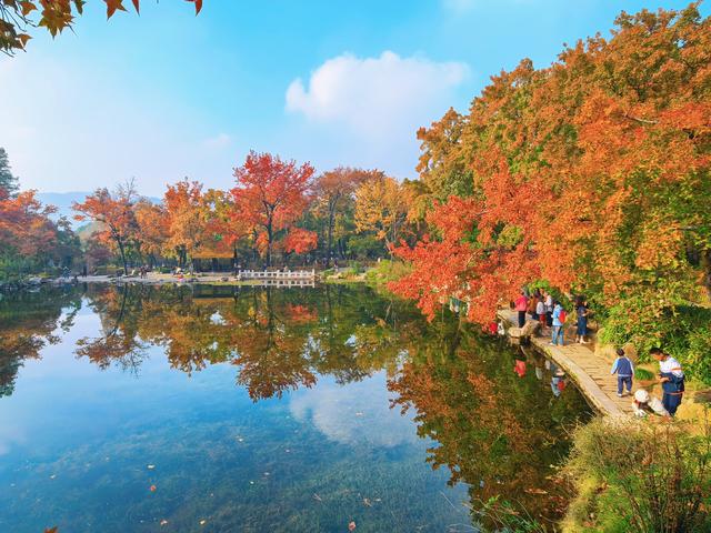 又见天平山：一叶知秋，一枫醉心