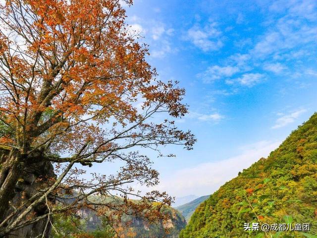 成都不远！这三个地方的红叶，美得很超过！