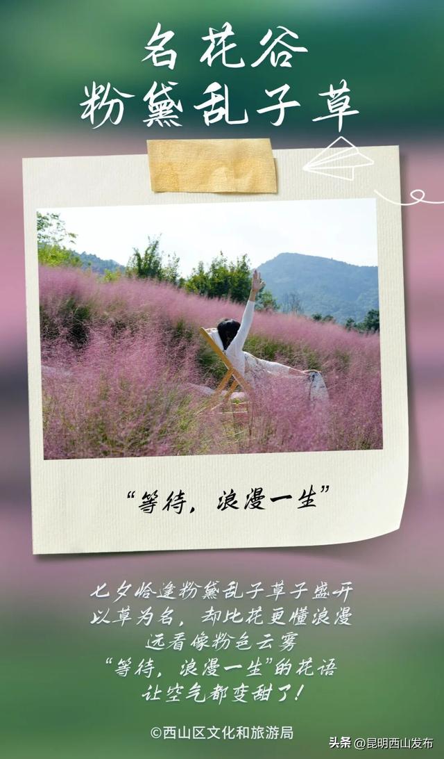 打卡推荐 | 西山最甜的7大约会胜地，快来Pick你心中的TOP1！
