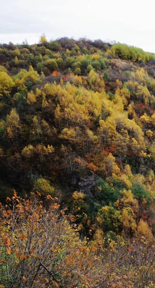 格鲁吉亚，除了代孕还有啥？