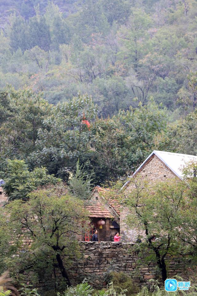 瞧~潍坊的秋色就藏在山野里