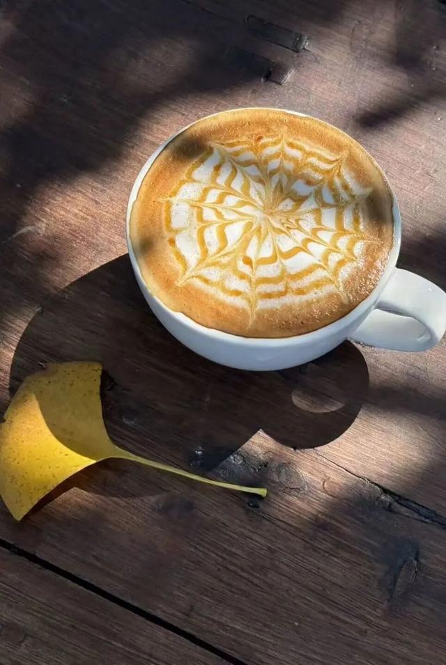 这个冬日去哪儿玩？看这篇就够啦！