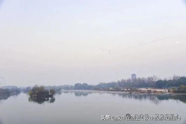 汉中汉江湿地晨景绝了！薄雾锁江，鸟戏江波，宛如仙境！