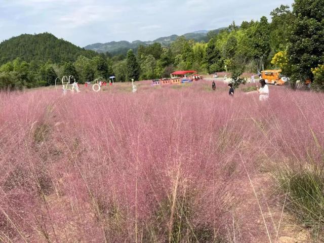 悦·遵义 | 双节同庆，嗨翻新蒲！2025 国庆中秋超全活动攻略来袭