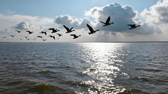 枫燃梅岭鄱湖阔，杏染豫章秋日长 —— 南昌秋游纪行