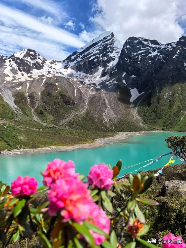 一路太多美景！离开浪浪山，去西藏这里开启一场山野漫游！