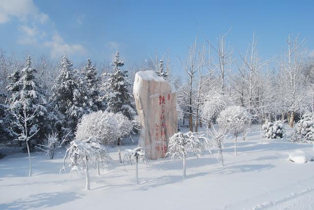 邂逅雪花飘飘，感受冬日浪漫之美