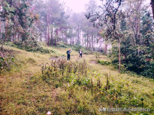 徒步牛栏坪赏高山草甸