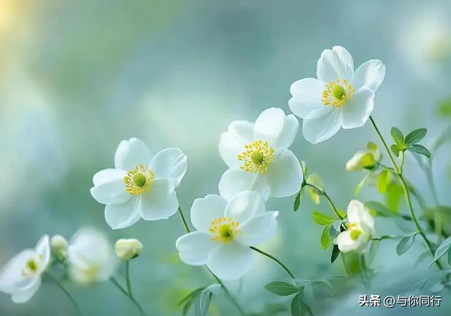 女人接吻时	，有这“下意识反应	”，说明她已对你“彻底沦陷”