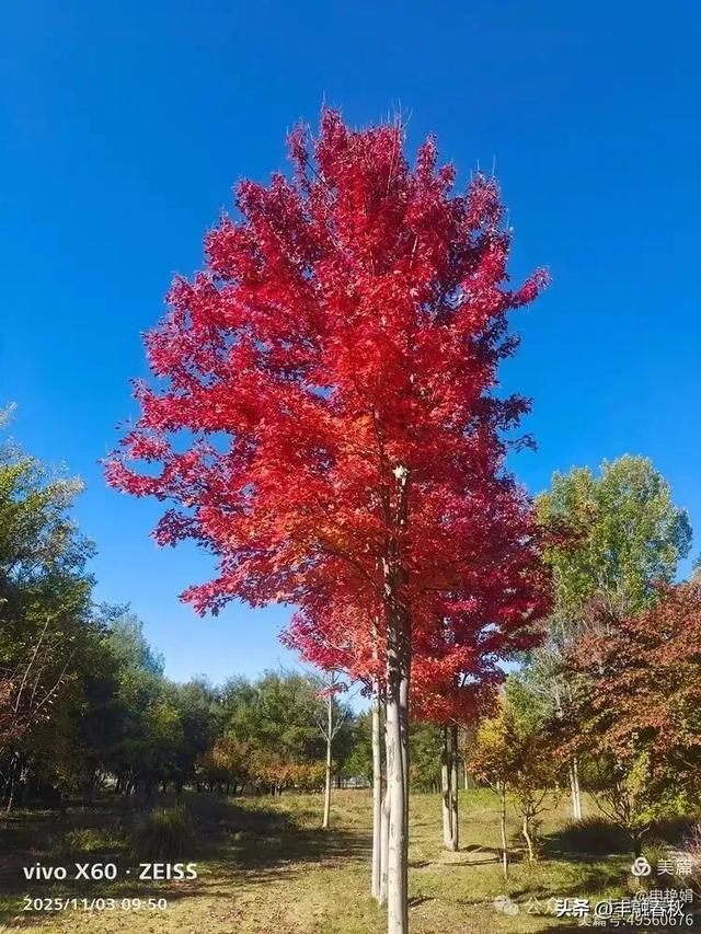 青岛即墨马山寻趣:一座地质公园的秋日私语|申艳娟