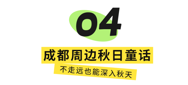 红了！成都周边18个顶级赏秋地更新！最快30min刹拢，最佳观赏期已到！速冲！