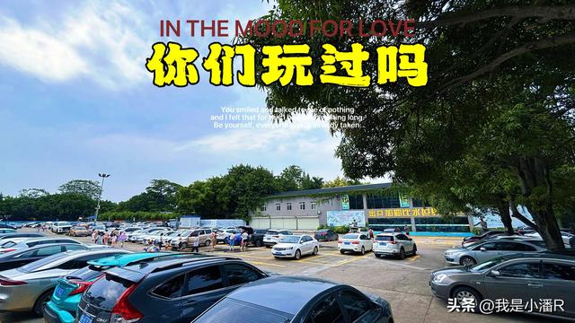 南宁动物园加勒比水世界暂停营业了，什么原因引起的？