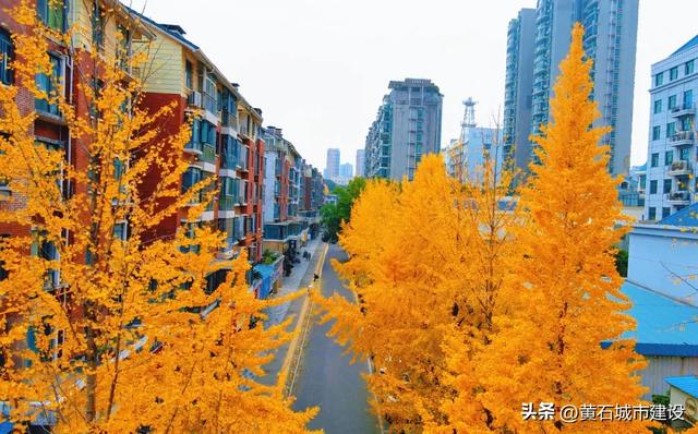 限时绝美！黄石街头进入颜值巅峰