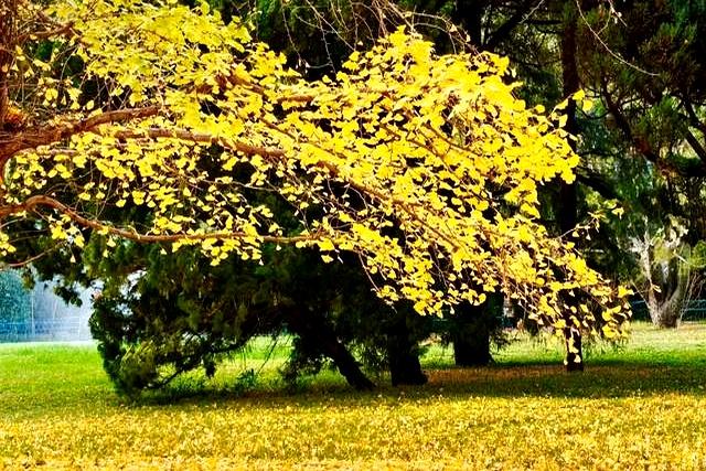 父母在人生尚有来处，父母去人生只剩归途。读懂这句话，需要多久