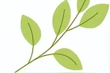 最新！渭南、西安、榆林等地中小学寒假时间公布！图片