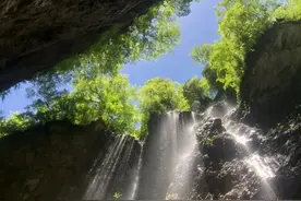 今日，芒种图片