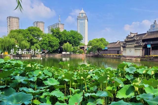 浙江宁波最具诗意的风景，荷花亭台相互映衬，古韵盎然景美如画