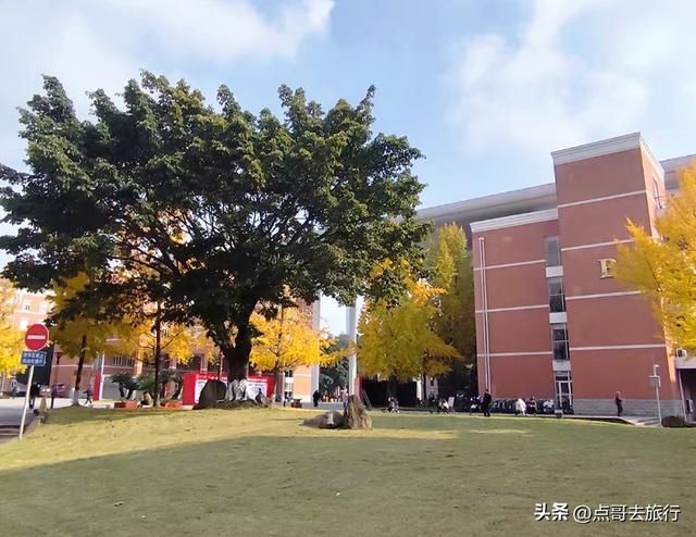 跟着法国总统游成都，24小时内去了哪些景点？成都真的太美了！