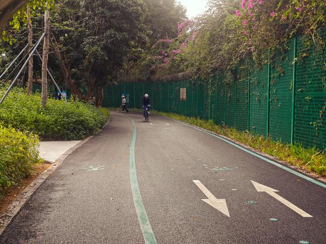 环西丽湖绿道骑行慢行随拍-动个好奇心