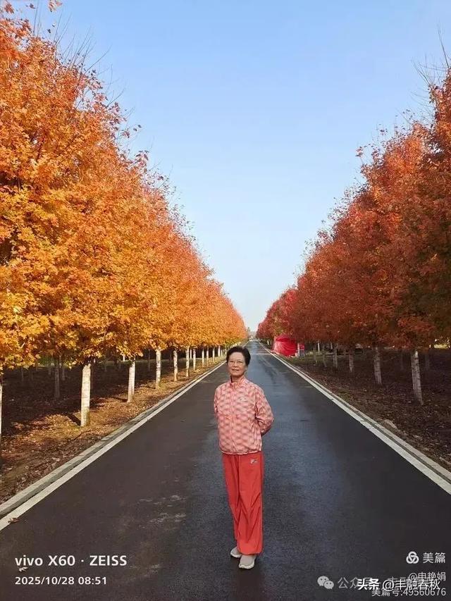 丹枫映秋，枫彩满楼｜申艳娟