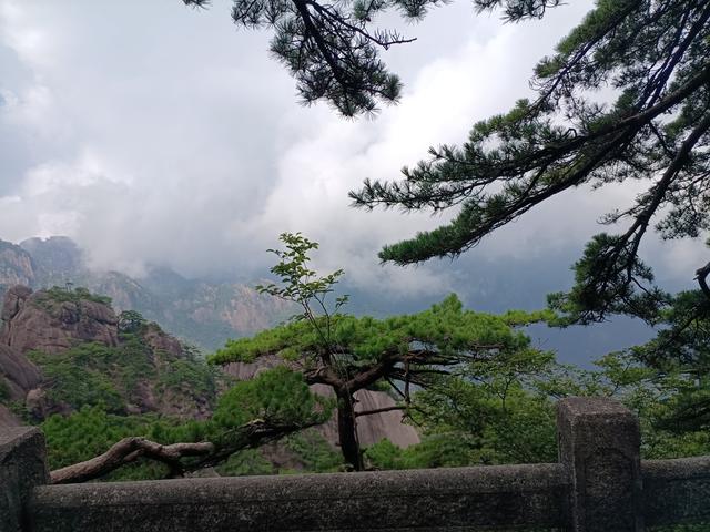 黄山一日游：在奇景与人心间丈量性价比