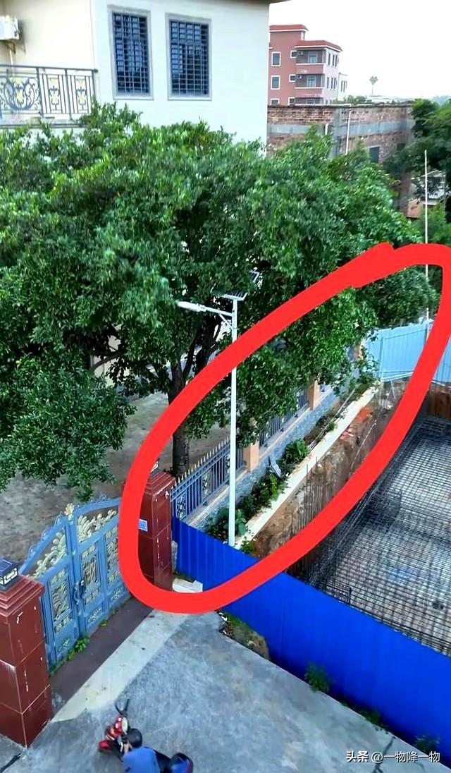 有苦说不出、全红婵家邻居不砍树的原因找到了，新房紧贴隔壁围墙