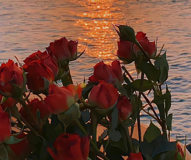 新婚夜新娘出上联：蛟龙入海翻巨浪；新郎的下联让新娘心花怒放！