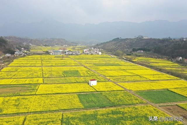 陕西汉中居然有15条观花线路，当地人来看说对了吗？