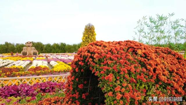 射阳秋冬顶流！出片率100%