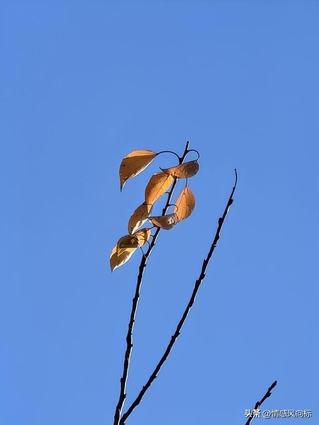 不要让任何人零成本接近你：保护自己，建立健康关系的智慧之道