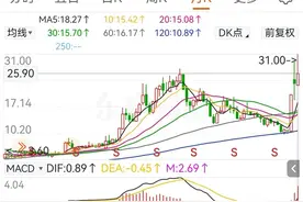 东方财富今年大涨85%，本月创出年内最高价31元，当前报价25.90元图片