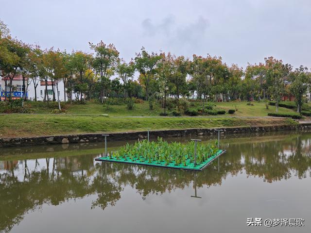 云梦生态浮岛的三重奏