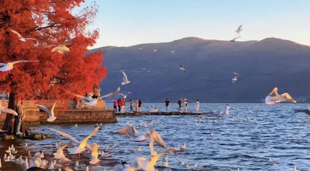 这一刻，“风花雪月”具象化了丨15秒看云南