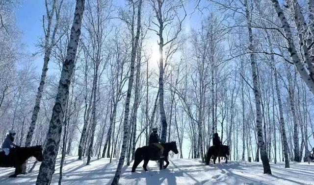 额尔古纳2025冬季旅游交出亮眼答卷