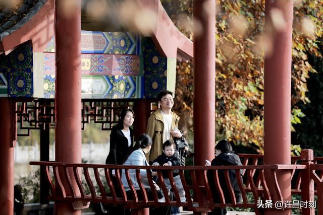 西湖公园：冬日暖阳里的惬意时光